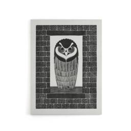"Artery8 Ringuil Owl Bird on a Window De Mesquita Canvas Wall Art Print in White - Size: W12"" x H16""" - thumbnail 1