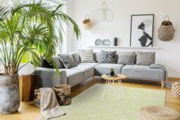 RugsX Patio Rug in Green - Size: 78 cm x 150 cm - thumbnail 4