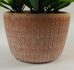 Leaf 22cm Honey Plant Dark Green in Terracotta Pot - thumbnail 2