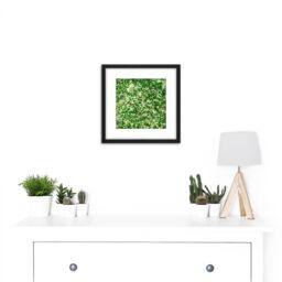 Artery8 Crops Kansas Satellite Image Photograph 8X8 Inch Square Wooden Framed Wall Art Print Picture with Mount in Black - thumbnail 2