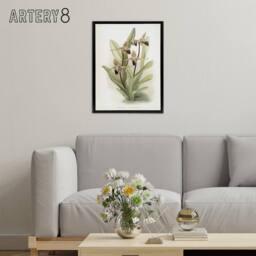 "Artery8 Frederick Sander Cypripedium Rothschildianum Orchid Framed Canvas Art - Size: W12"" x H16""" - thumbnail 3
