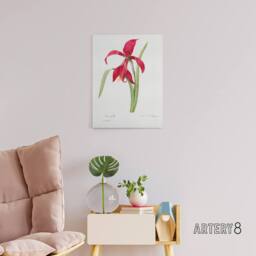"Artery8 Amaryllis Flower Floral Redoute Vintage Canvas Wall Art in White - Size: W18"" x H24""" - thumbnail 3
