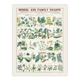 "Artery8 School & family charts No XXII Calkins Wall Art Poster Print in White - Size: W18"" x H24""" - thumbnail 1