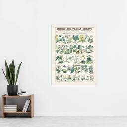 "Artery8 School & family charts No XXII Calkins Wall Art Poster Print in White - Size: W18"" x H24""" - thumbnail 4