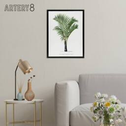 "Artery8 Hyophorbe Verschaffelti Palm Tree Kerchove Framed Canvas Wall Art in White - Size: W12"" x H16""" - thumbnail 3