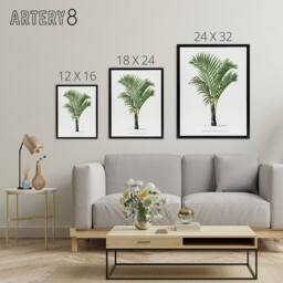 "Artery8 Hyophorbe Verschaffelti Palm Tree Kerchove Framed Canvas Wall Art in White - Size: W12"" x H16""" - thumbnail 4