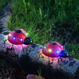 Obasyhig Pack of 4 Outdoor Solar Ladybug Decorative Garden Lights in Red - thumbnail 2