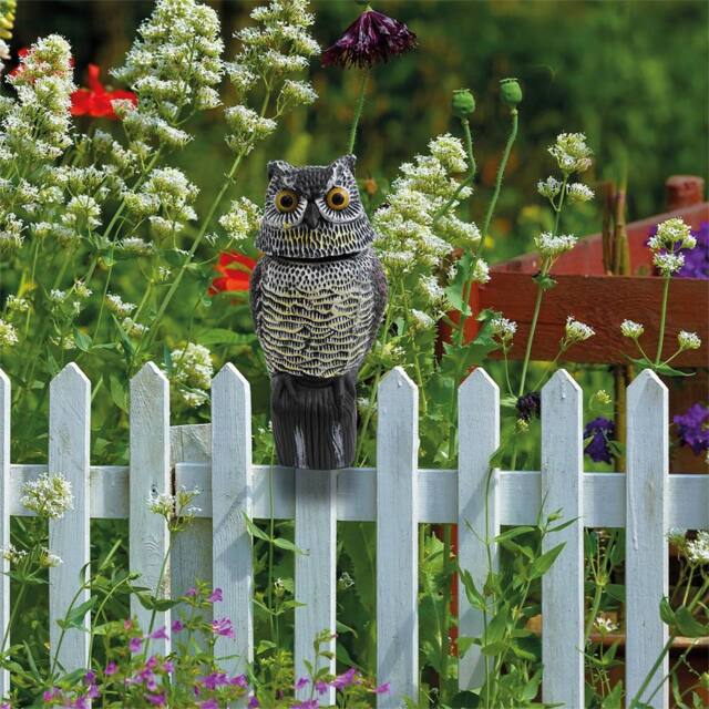 St Helens Life-sized decoy owl with rotating head - scares birds & small mammals