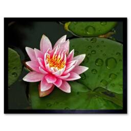 "Artery8 Lotus Flower Water Lily Pad Pink Home Decor 12x16"" Framed Art Print - Size: W12"" x H16""" - thumbnail 1