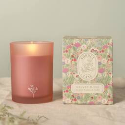 Sophia Lane Velvet Rose Floral Candle - 250g in Light Pink - thumbnail 1