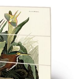 John James Audubon Green Heron Wood Print in Bright Green - thumbnail 2