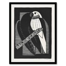 Artery8 Stylised Parakeet Birds Samuel J De Mesquita Framed Wall Art Print in Black - Size: A4 - thumbnail 1