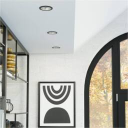 Loops 4 PACK Sleek Black & Silver Ceiling Spotlight for Indoor Space - thumbnail 3