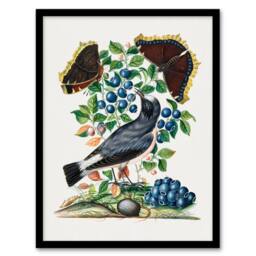 Artery8 Northern Wheatear & Mourning Cloak Bolton Framed Wall Art Print - Size: A4 - thumbnail 1