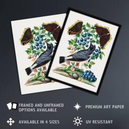 Artery8 Northern Wheatear & Mourning Cloak Bolton Framed Wall Art Print - Size: A4 - thumbnail 2