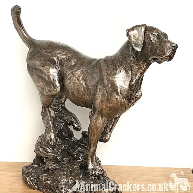 Animal Crackers Large Labrador On Rocks Dog Figurine In Solid Cold Cast Bronze Designed By David Geenty, Quality Dog Lover Home Decoration - image 1