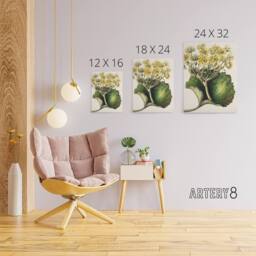 "Artery8 New Zealand Korikori Buttercup Flower Featon Canvas Wall Art Print in Beige - Size: W12"" x H16""" - thumbnail 4