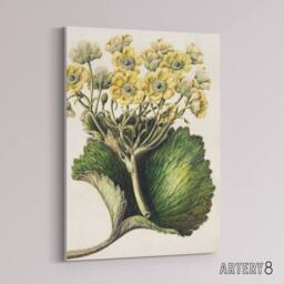 "Artery8 New Zealand Korikori Buttercup Flower Featon Canvas Wall Art Print in Beige - Size: W12"" x H16""" - thumbnail 2