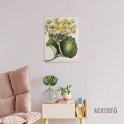 "Artery8 New Zealand Korikori Buttercup Flower Featon Canvas Wall Art Print in Beige - Size: W12"" x H16""" - thumbnail 3