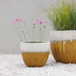 Primrose Ribbed Textured Glazed Round Patio Planter in Two Tone Yellow 45cm in Brown - thumbnail 5