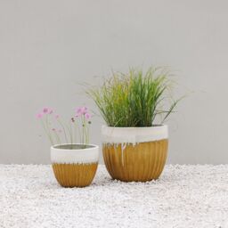 Primrose Ribbed Textured Glazed Round Patio Planter in Two Tone Yellow 45cm in Brown - thumbnail 8
