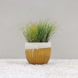 Primrose Ribbed Textured Glazed Round Patio Planter in Two Tone Yellow 45cm in Brown - thumbnail 1