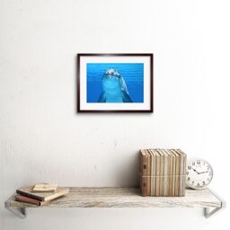 "Artery8 Wall Art Print Bottlenose Dolphin Smiling Framed in Brown - Size: W7"" x H9""" - thumbnail 2