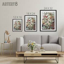 "Artery8 Kolibri Birds Hummingbird Species Haeckel Black Framed Canvas Wall Art - Size: W12"" x H16""" - thumbnail 4