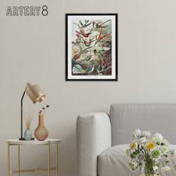 "Artery8 Kolibri Birds Hummingbird Species Haeckel Black Framed Canvas Wall Art - Size: W12"" x H16""" - thumbnail 3