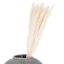 Sostter Mini White Pampas Grass Set of 15 Decorative Stems in Natural White - thumbnail 3