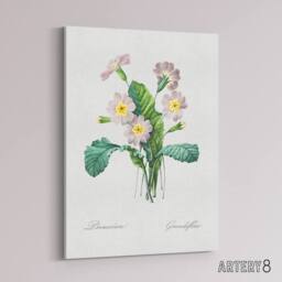 "Artery8 Primrose Floral Illustration Redoute Vintage Canvas Wall Art in White - Size: W18"" x H24""" - thumbnail 2