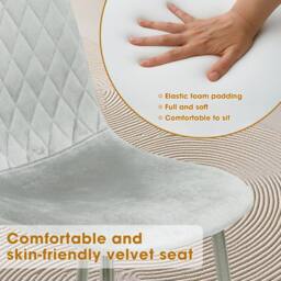 Alivio Ergonomic Velvet Dining Chairs for Indoor Outdoor (Pack of 4) in Grey - thumbnail 5