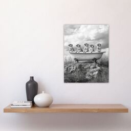 "Artery8 Meerkats in a Bathtub in Desert Black White Photo Wall Art Print in Grey - Size: W12"" x H16""" - thumbnail 4