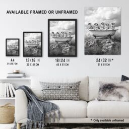 "Artery8 Meerkats in a Bathtub in Desert Black White Photo Wall Art Print in Grey - Size: W12"" x H16""" - thumbnail 3