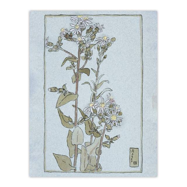 "Artery8 Aster on Green Ground Vintage Wall Art Print Overbeck in Blue - Size: W12"" x H16""" - image 1