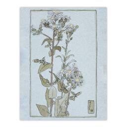 "Artery8 Aster on Green Ground Vintage Wall Art Print Overbeck in Blue - Size: W12"" x H16""" - thumbnail 1