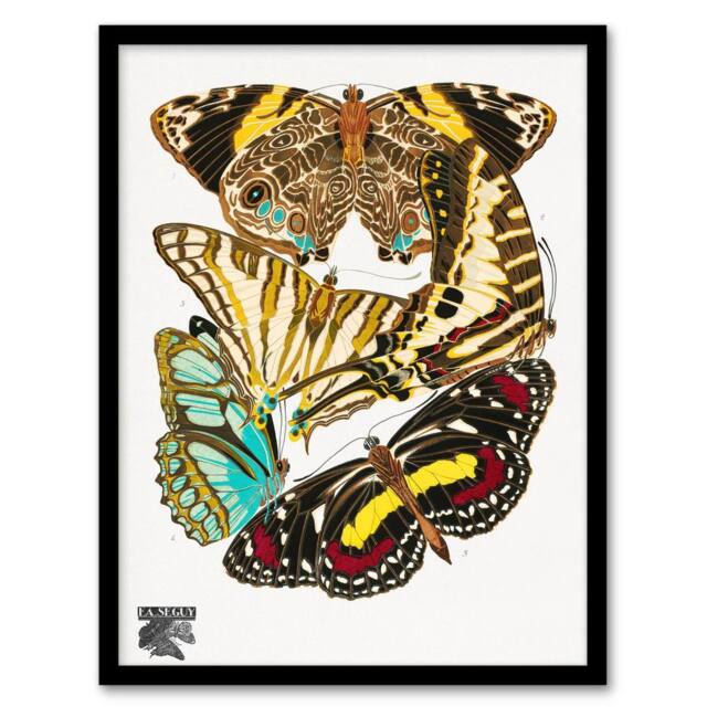 Artery8 Papillons Butterflies Vintage Framed Wall Art Print Eugene Seguy - Size: A4 - image 1