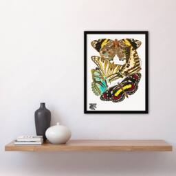 Artery8 Papillons Butterflies Vintage Framed Wall Art Print Eugene Seguy - Size: A4 - thumbnail 4