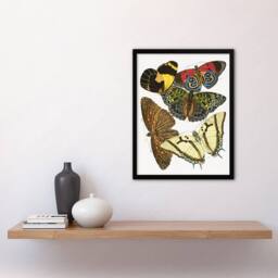 Artery8 Butterflies Papillons Vintage Framed Wall Art Print Eugene Seguy - Size: A4 - thumbnail 4