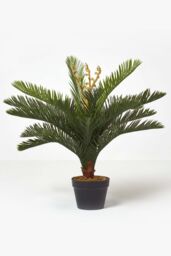 Homescapes Green 'Sago Palm' Artificial Cycas Plant with Pot, 75 cm - thumbnail 5