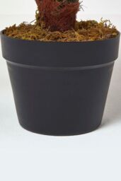Homescapes Green 'Sago Palm' Artificial Cycas Plant with Pot, 75 cm - thumbnail 3