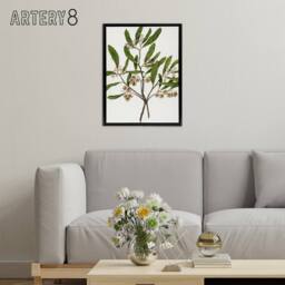 "Artery8 New Zealand Akeake Hopbush Flowering Plant Featon Framed Canvas Art in Beige - Size: W12"" x H16""" - thumbnail 3