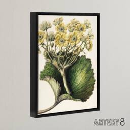 "Artery8 New Zealand Korikori Buttercup Flower Featon Framed Canvas Wall Art in Beige - Size: W12"" x H16""" - thumbnail 2