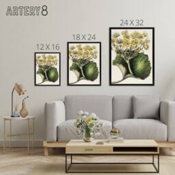 "Artery8 New Zealand Korikori Buttercup Flower Featon Framed Canvas Wall Art in Beige - Size: W12"" x H16""" - thumbnail 4