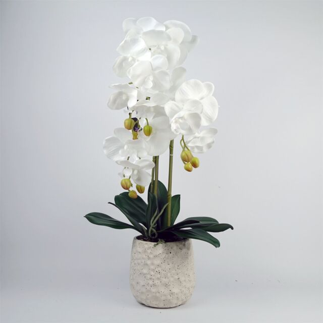 Leaf 60cm Pure White Artificial Orchid with Ceramic Bubble Planter in Green - image 1