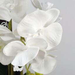 Leaf 60cm Pure White Artificial Orchid with Ceramic Bubble Planter in Green - thumbnail 2