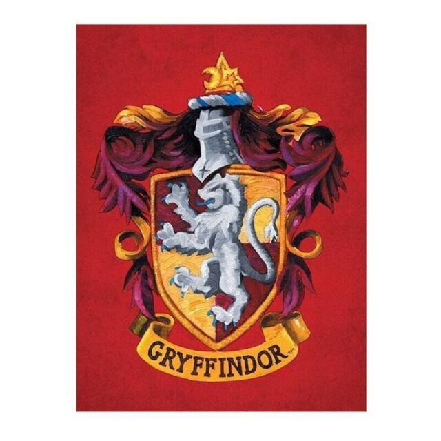 Harry Potter Gryffindor Canvas Print in Red - image 1