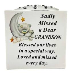 David Fischhoff Memorial Grave Bear On A Moon Rose Bowl - Grandson in White - thumbnail 2