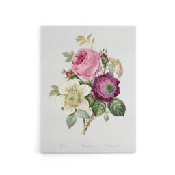 "Artery8 Anemone & Cabbage Rose Flower Redoute Vintage Canvas Wall Art in White - Size: W18"" x H24""" - thumbnail 1