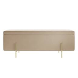 Wyld Haus Elowen Rectangle Storage Ottoman Bench Cream Velvet Brushed Gold Legs in Beige - thumbnail 5